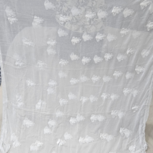 Chiffon Dupatta Aari Jaal Work